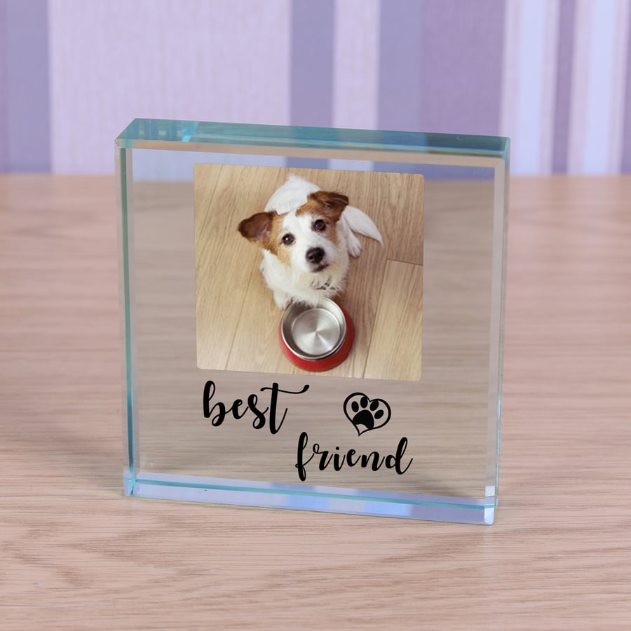 Best Friend Pet Glass Token, Dog Memorial, Pet Loss, Pet Grief