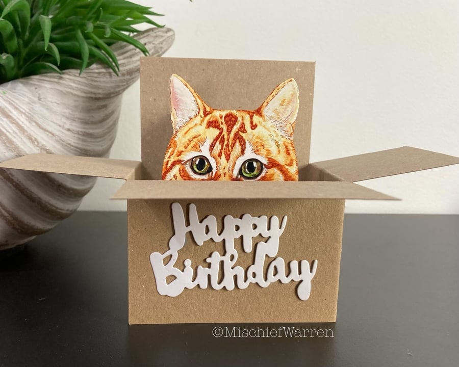 Ginger Cat Birthday Card - The Original Cat in a box card - 3D Gift card holder