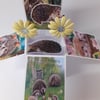 Birthday Card with Hedgehogs