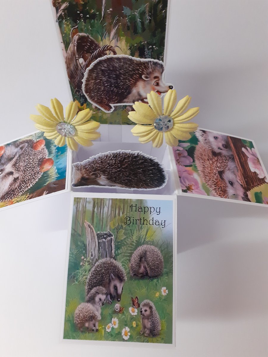 Birthday Card with Hedgehogs