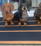 20cm H x 40W x 50cm L base Step or Patio Ramp - Image 2
