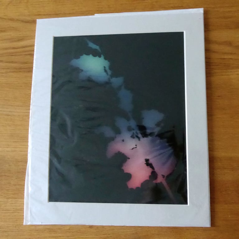 Holly II Print from Original Photogram - Beige mount to fit 10x12 inch frame 