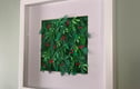 Framed Art