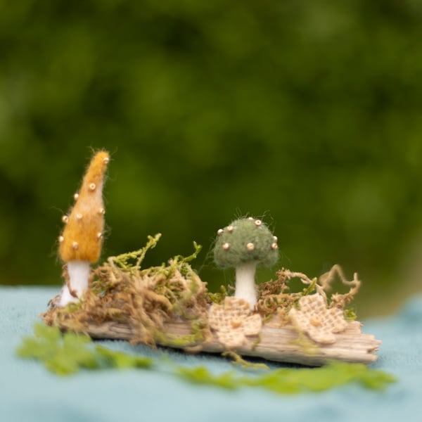 Moss & Toadstool Hollow