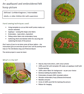 Craft kit - Tiger Roar hand appliqued and embroidered hoop picture - Image 2