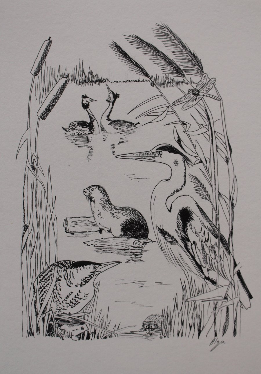 Wetland animals and birds