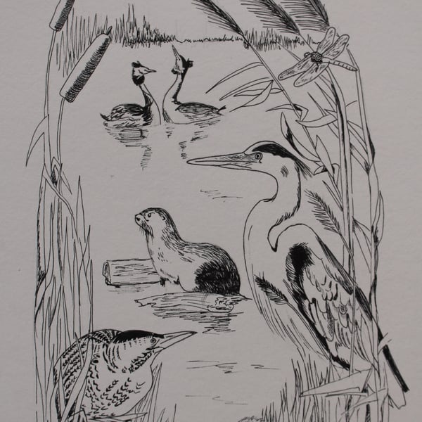 Wetland animals and birds