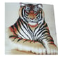 On Safari  magnificent Tiger cushion  - Image 3