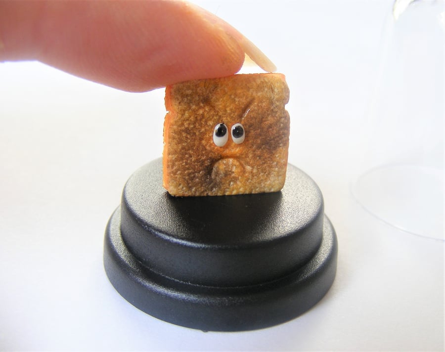 Pet Burnt Toast, FunnyToast gift, Toasted bread, Toast lover