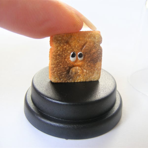 Pet Burnt Toast, FunnyToast gift, Toasted bread, Toast lover