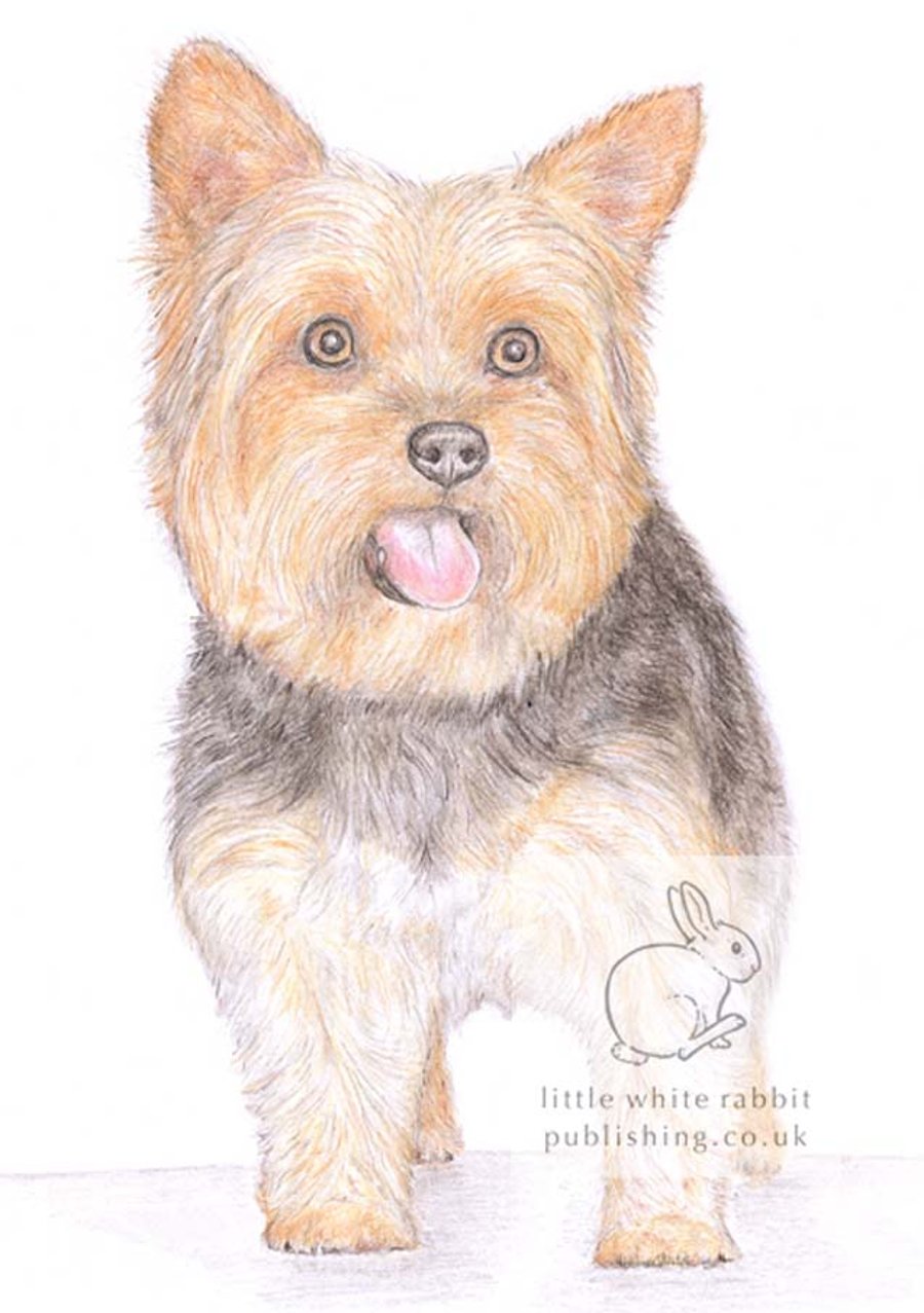Dennis the Yorkie - Blank Card