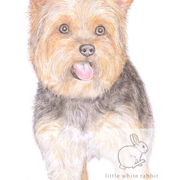 Dennis the Yorkie - Blank Card