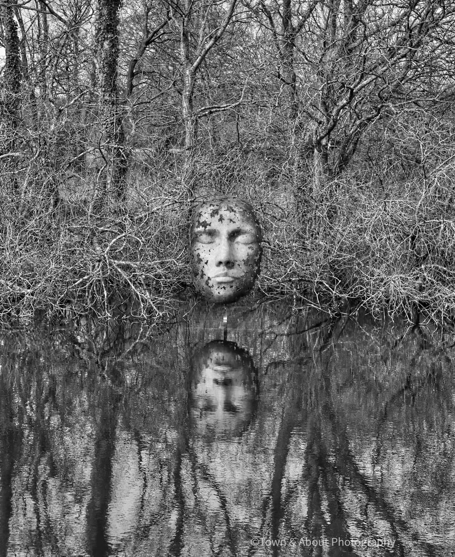 Sculpture Reflected in Water, Dorset
