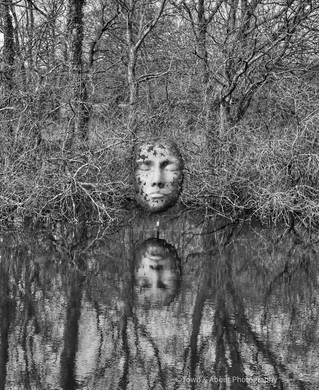 Sculpture Reflected in Water, Dorset