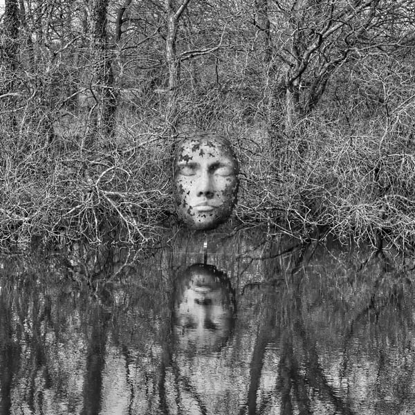 A Reflection in Water, Dorset – Print and Framed Options Available