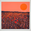 'Sunset Poppies' original hand-pulled screen print MISPRINT
