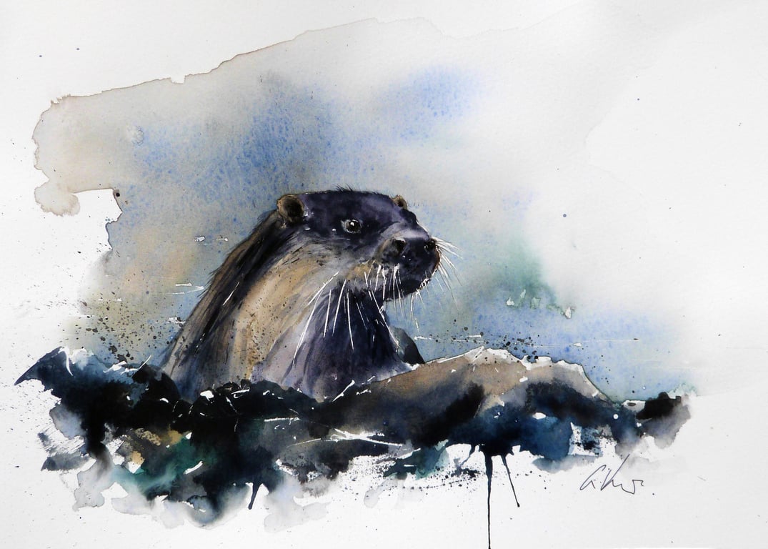 Otter, Professional Giclée Print.