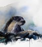 Otter, Professional Giclée Print. - Image 1