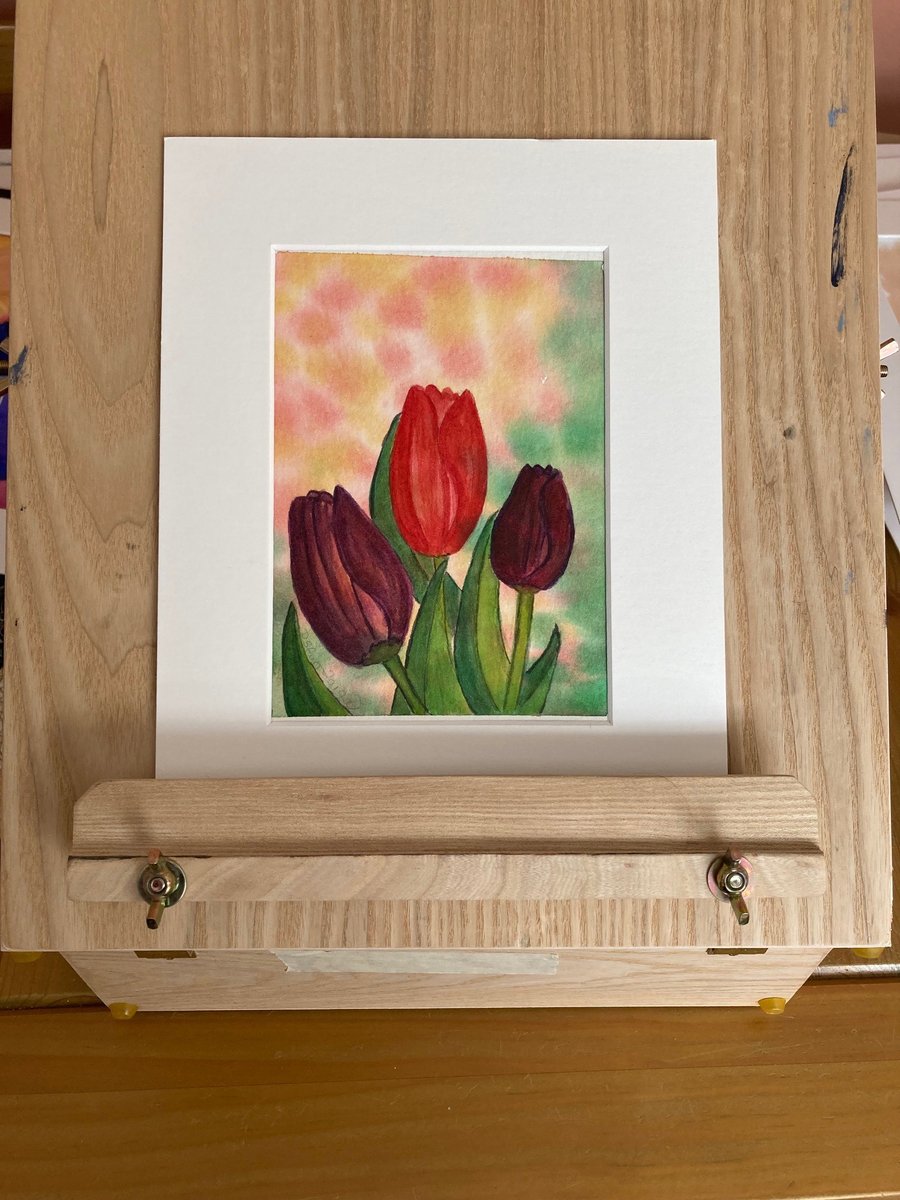 Tulips in watercolour
