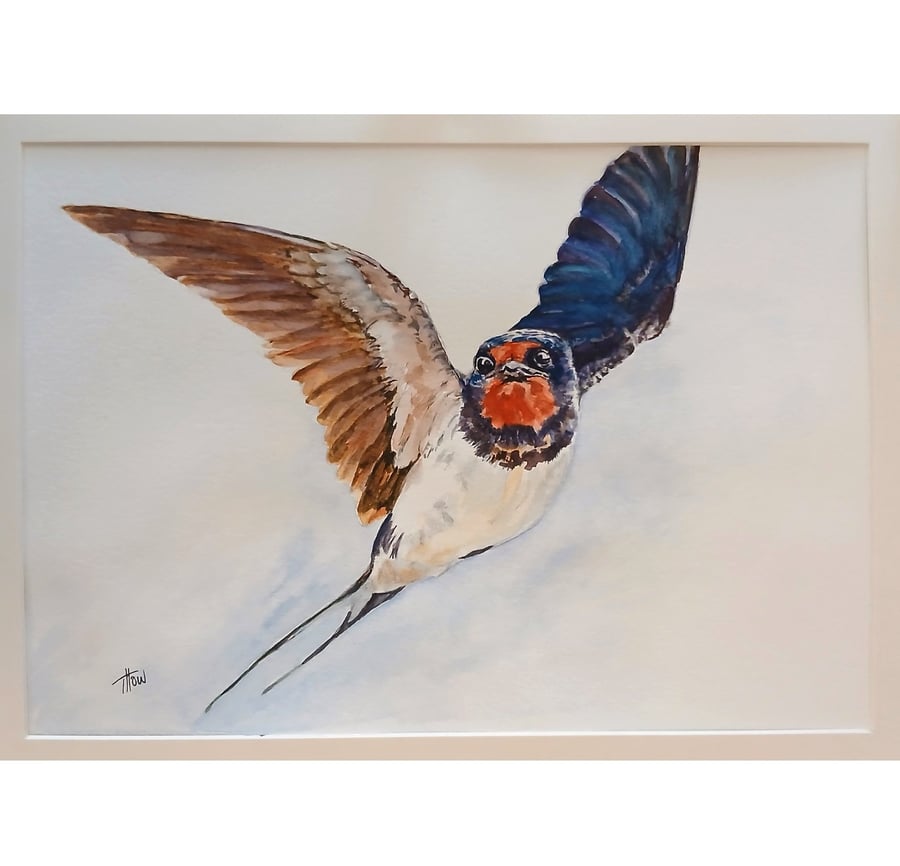 Swallow