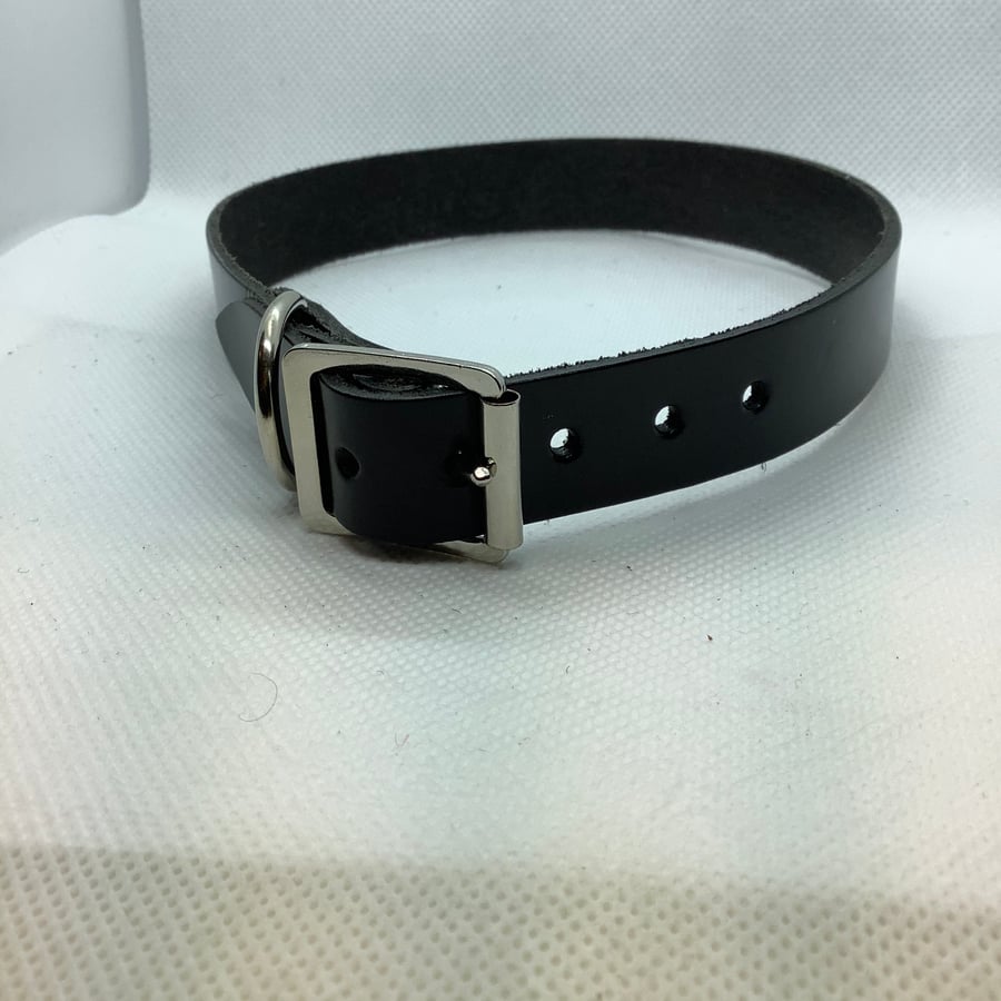 Handmade Leather dog collar,Quality Dog Collar