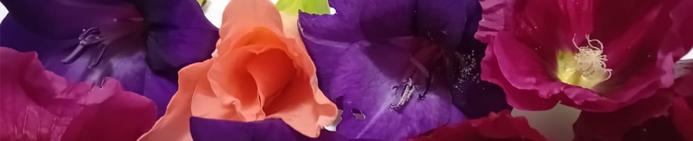 FLEURS