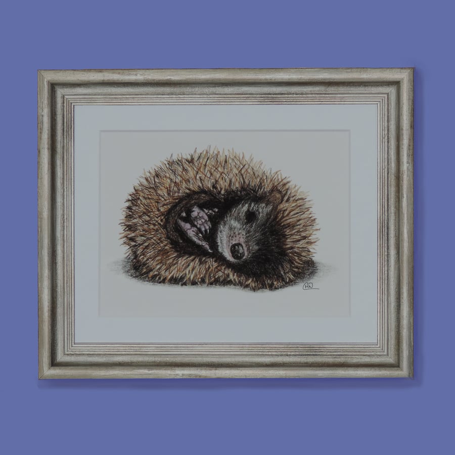Sleepy Hedgehog Fine Art Print