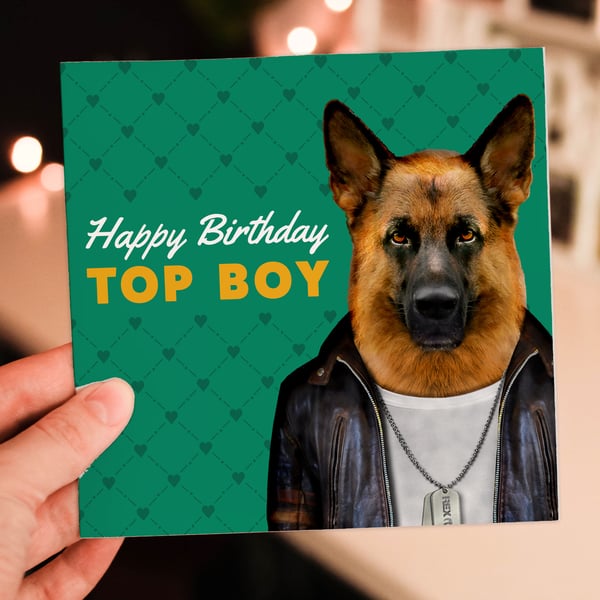 German Shepherd dog bithday card: Happy birthday top boy