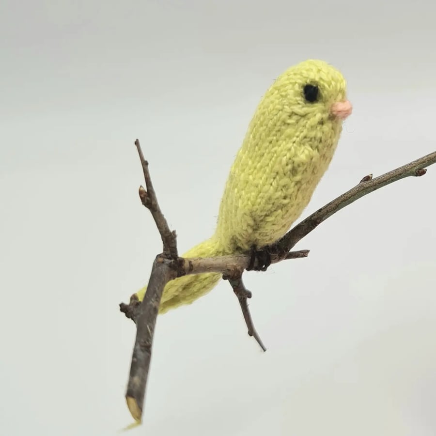 Teeny Tiny Canary