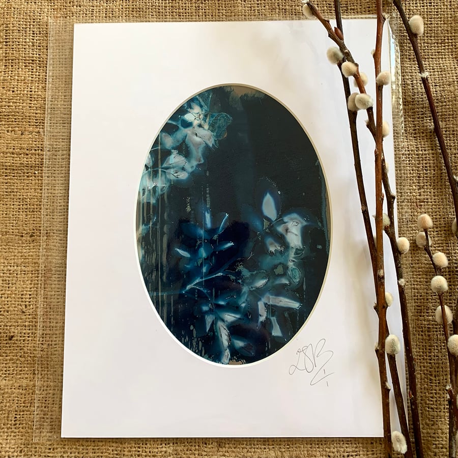 Cyanolumen Flowers Mount no.4