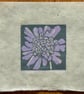 Scabious mini linocut print - Image 2