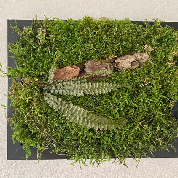 Framed Forest Vignette (5 of 6)