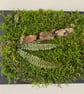 Framed Forest Vignette (5 of 6)