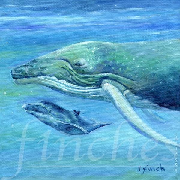 Spirit of Whale - Limited Edition Giclée Print