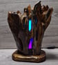 Wooden lamp Root RGB Multicolor  - Image 5