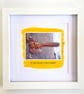 Spectacled Bear; framed image, mounted, printed on card and photographic paper - Image 4