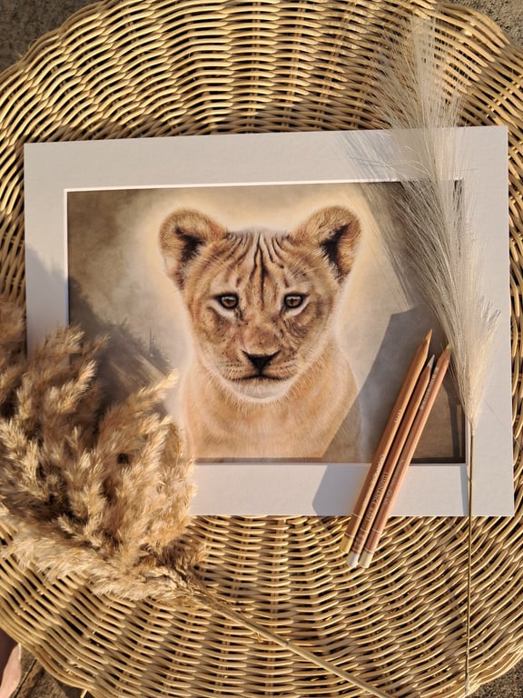 Lion Cub Drawing Fine Art Print Limited Edition 
