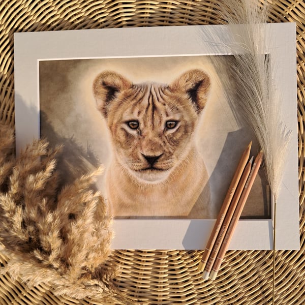 Lion Cub Drawing Fine Art Print Limited Edition 