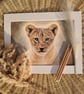 Lion Cub Drawing Fine Art Print Limited Edition 