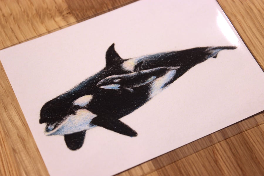 Orcas ACEO Print - Mini Wildlife Art Print, Free UK Post
