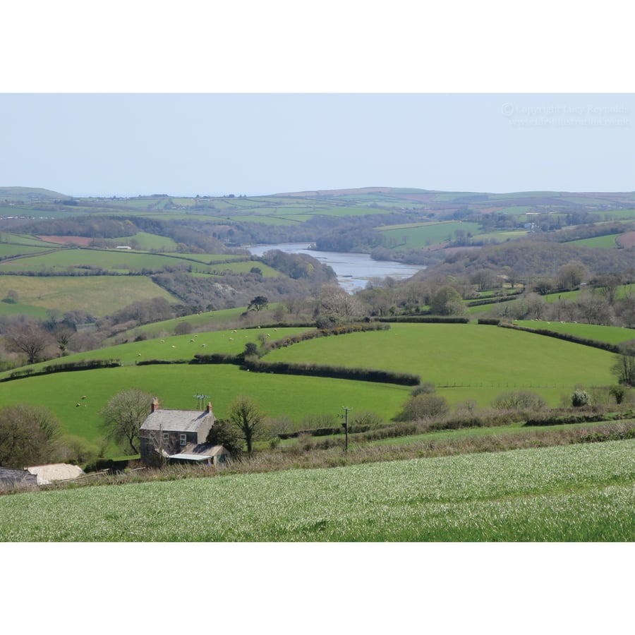 Fowey River in Lostwithiel Landscape Print