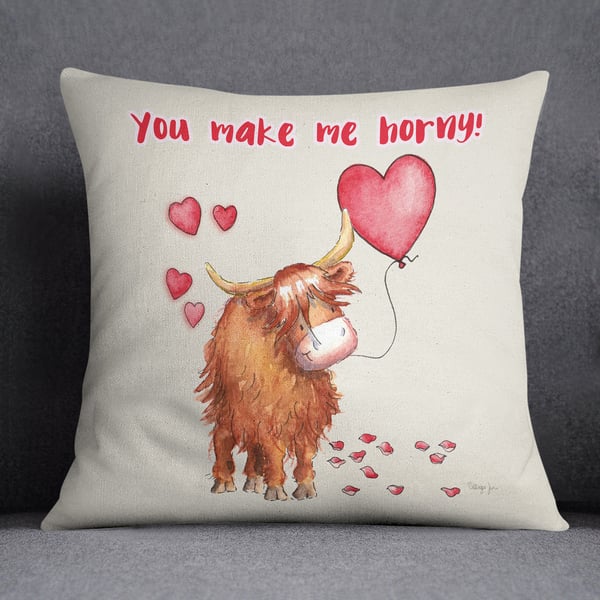 You Make Me Horny Valentine's Cushion