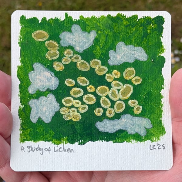 A Study of Lichen