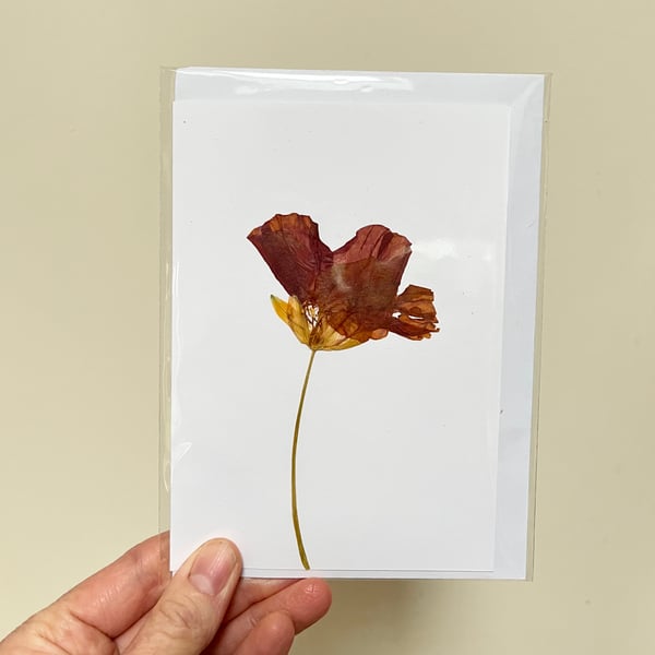 Perfectly Imperfect Real Pressed Flower Nasturtium Handmade Card