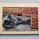 Playful Grey Cat Large Photographic Card Size  7" x 5" Blank