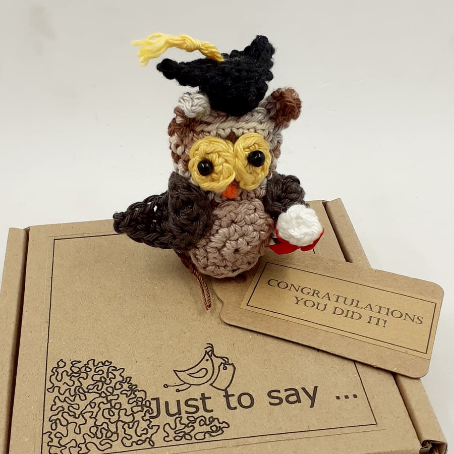Crochet Wise Owl - Exam Congratulations 