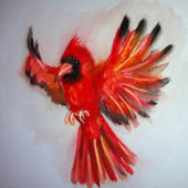 Feather Red Art