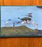 Handmade original photo card of wading sea birds, 'Where's the meeting?'