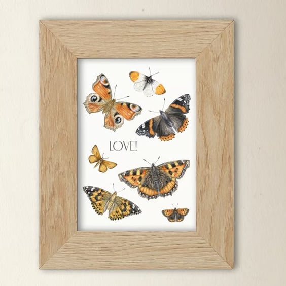 Butterfly Art Print - A5 size - Scottish wildlife illustration