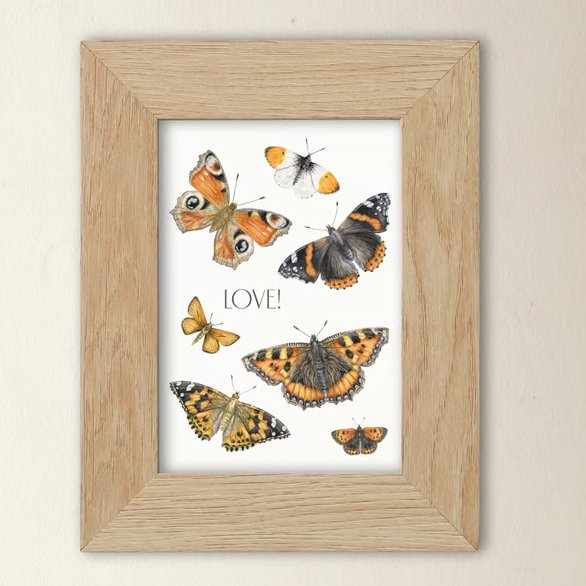 Butterfly Art Print - A5 size - Scottish wildlife illustration